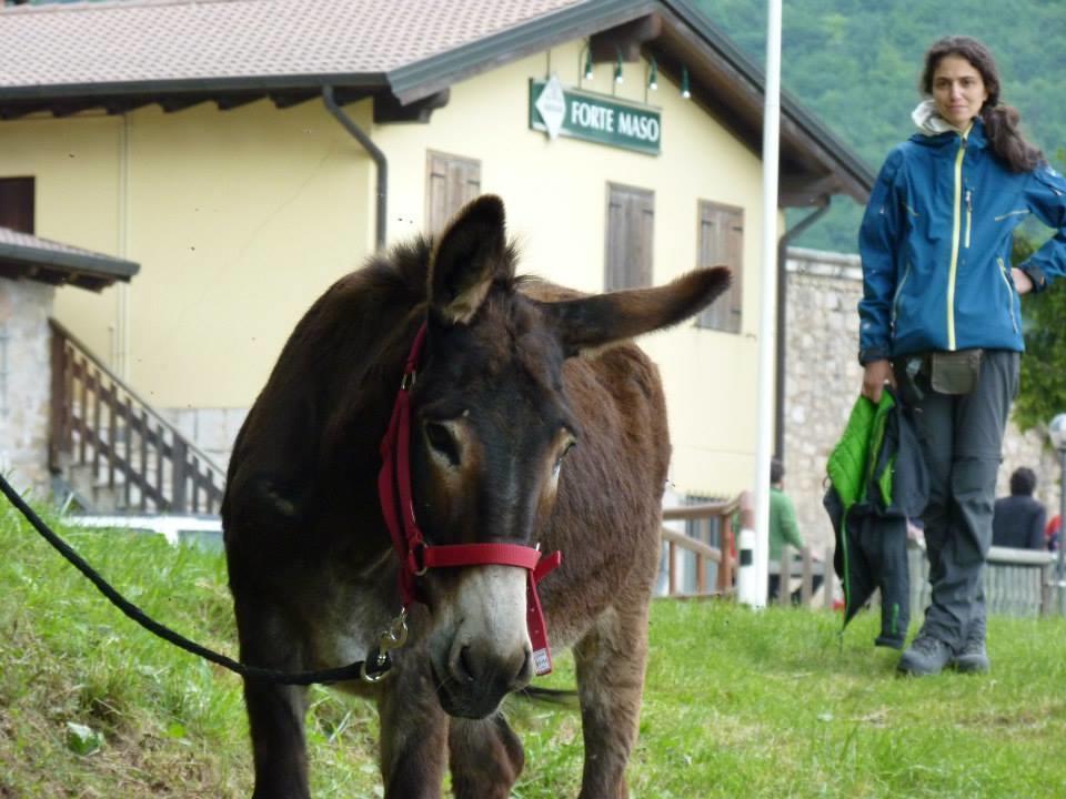 B&B Casabasoti Valli del Pasubio Kültér fotó