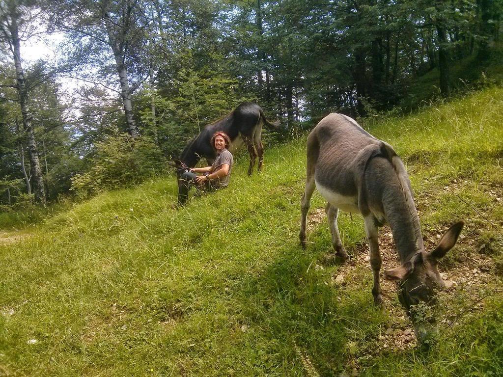 B&B Casabasoti Valli del Pasubio Kültér fotó