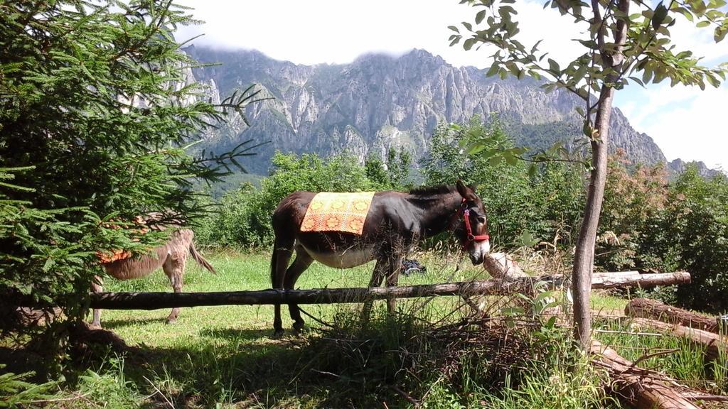 B&B Casabasoti Valli del Pasubio Kültér fotó